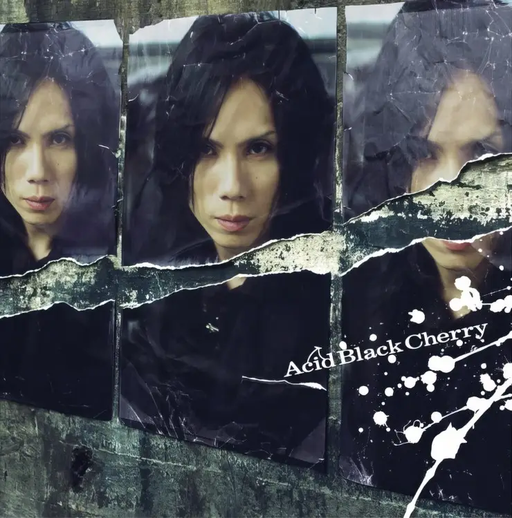 Cover: Fuyu no maboroshi