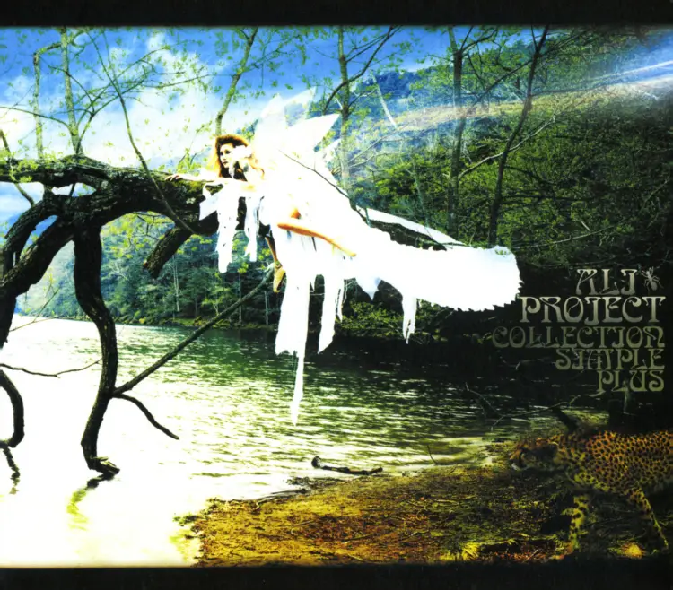 Portada del álbum COLLECTION SIMPLE PLUS