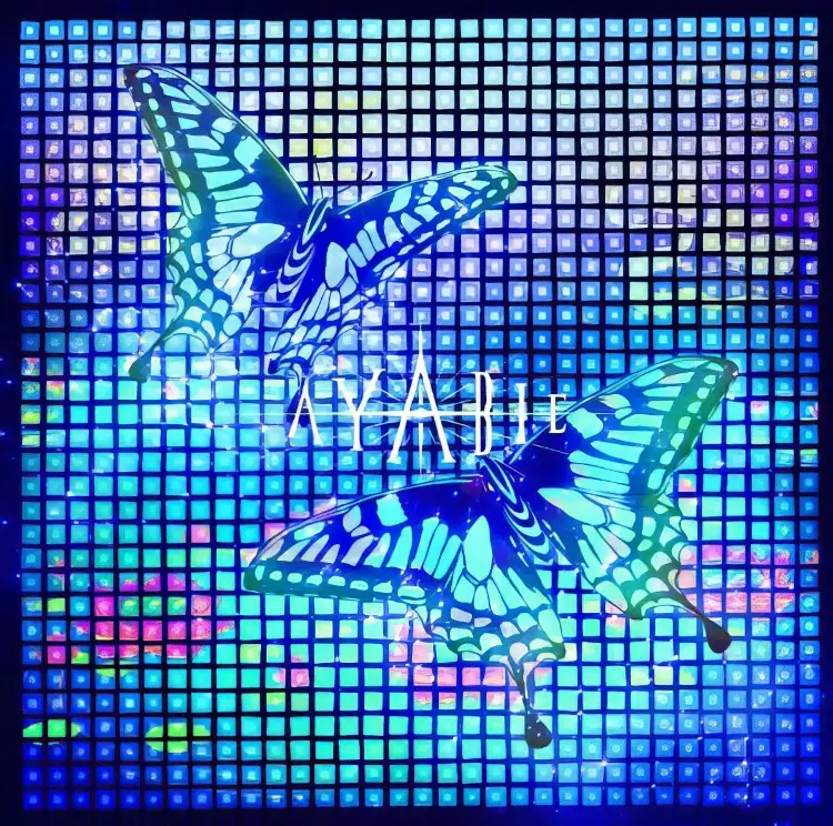 Portada del álbum Ryuusei