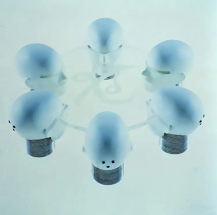 Portada del álbum LTD