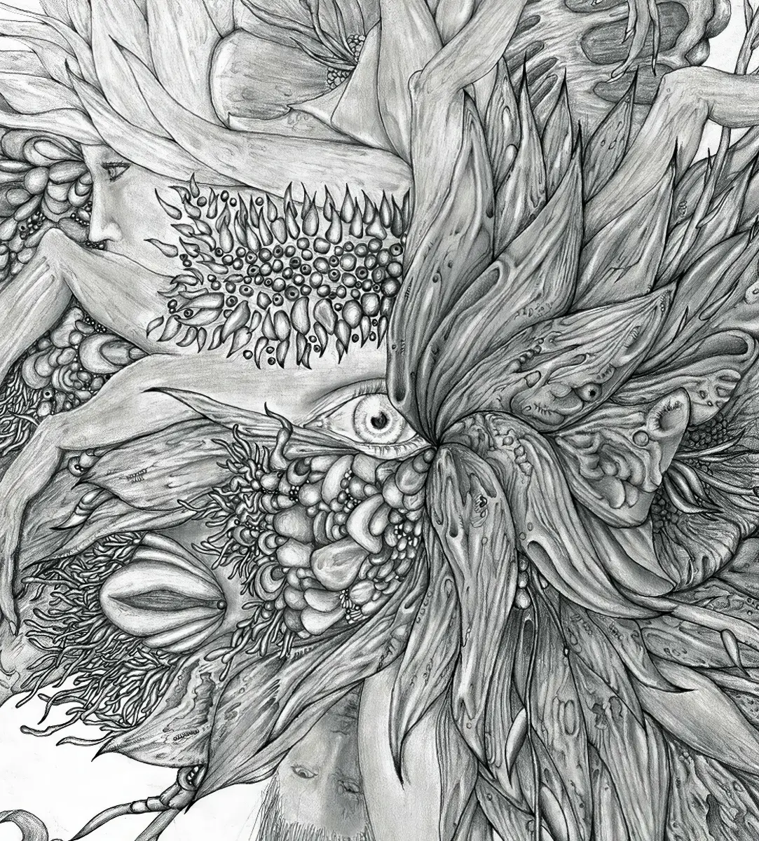 Portada del álbum RINKAKU