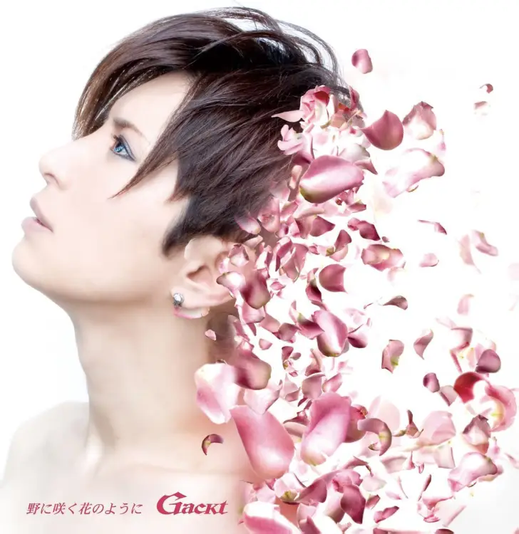 Portada del álbum No ni Saku Hana no Yō ni