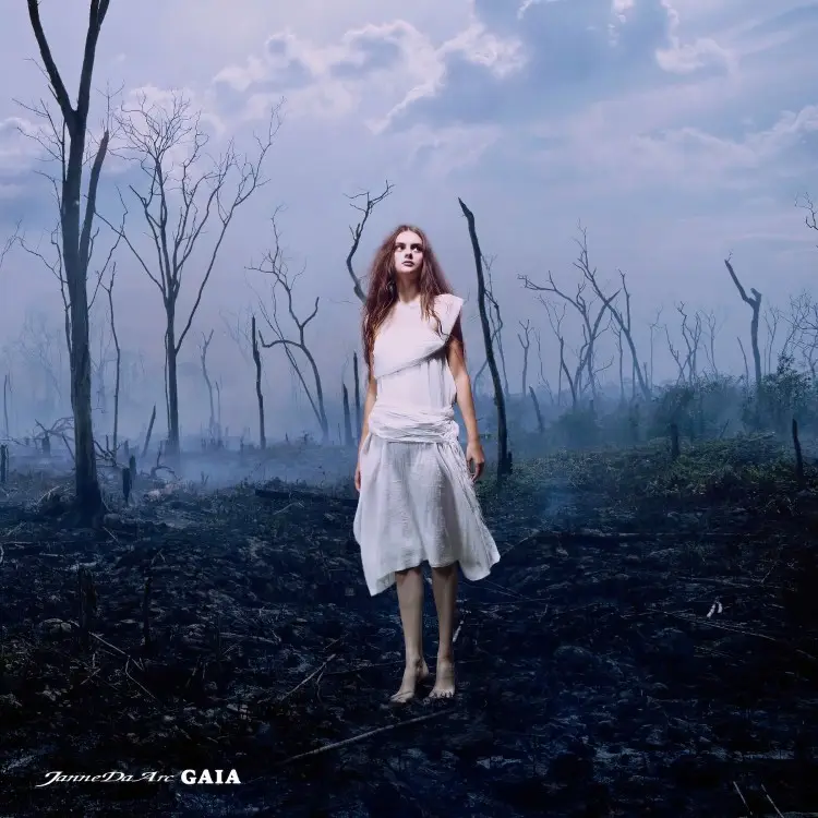 Cover: GAIA