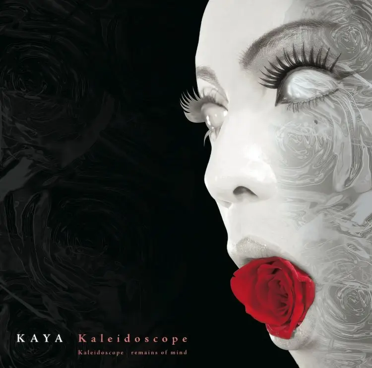 Cover: Kaleidoscope