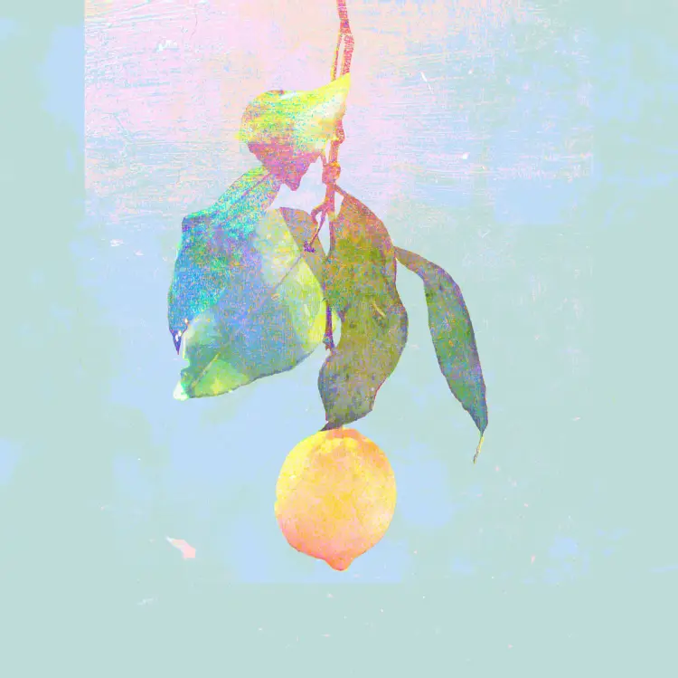 Portada del álbum Lemon