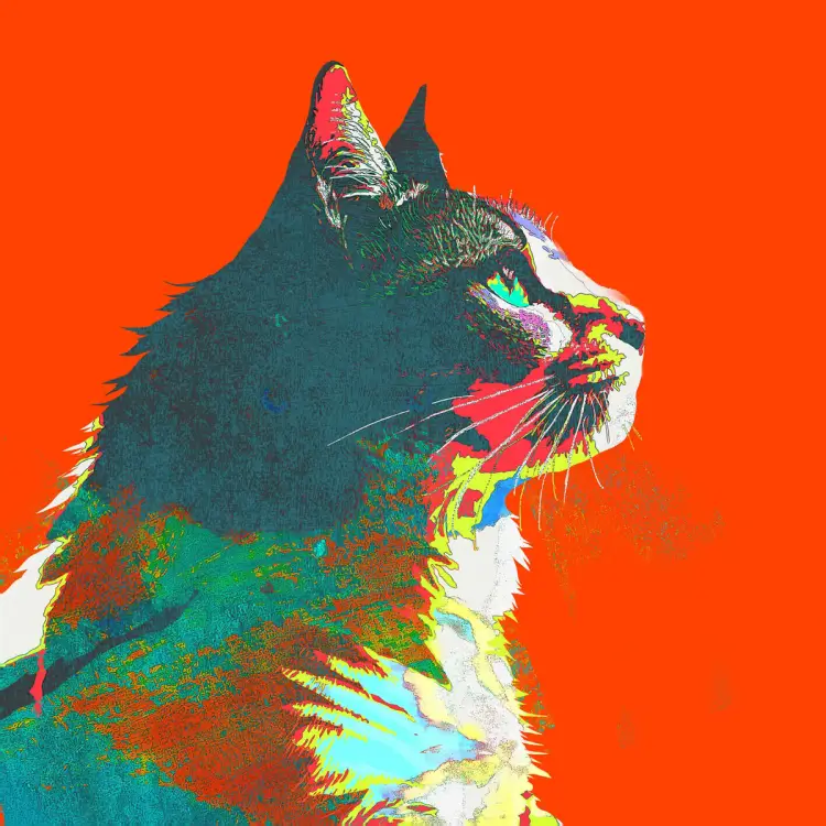 Portada del álbum Mainichi