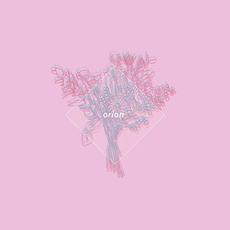 Portada del álbum orion