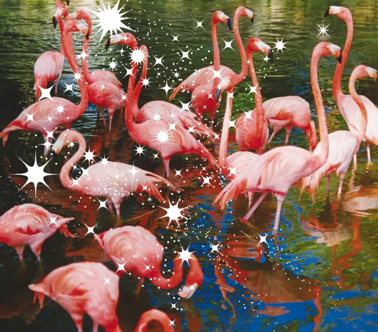 Portada del álbum Hitomi no Juunin