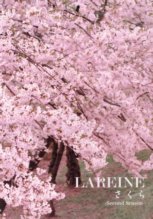 Portada del álbum Sakura -Second Season-