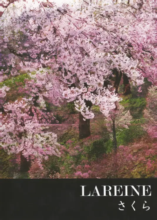 Portada del álbum Sakura