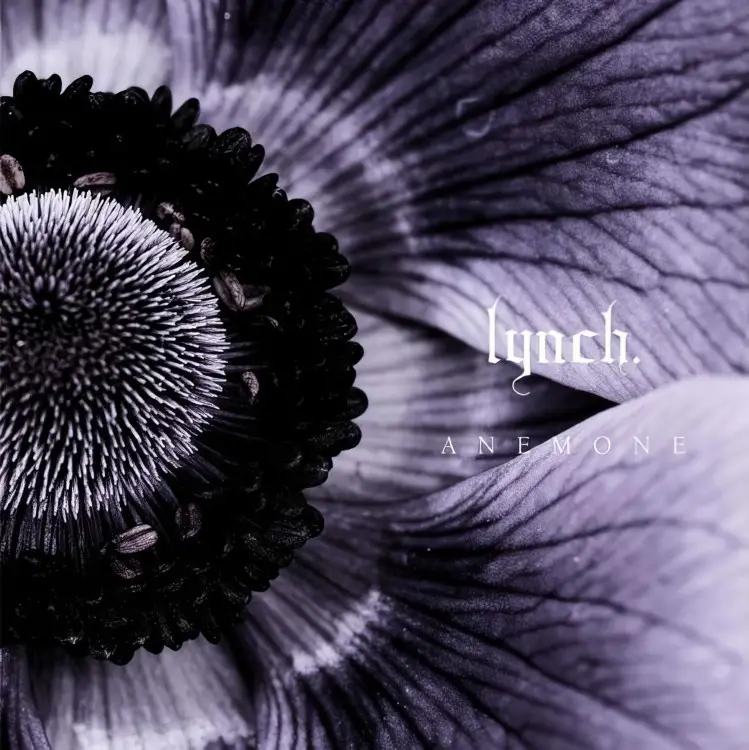 Portada del álbum ANEMONE