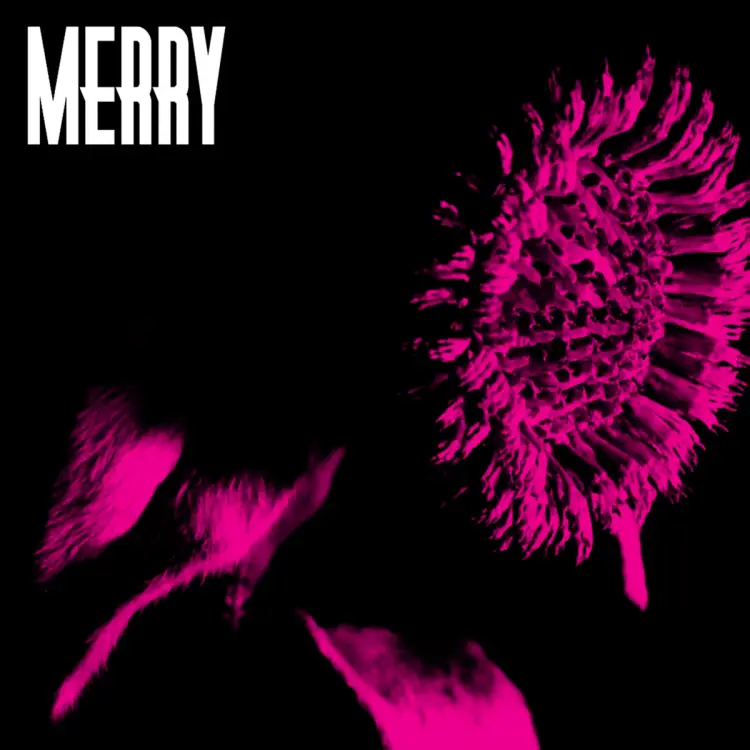 Portada del álbum Kurayami ni PINK ~All memVer.~