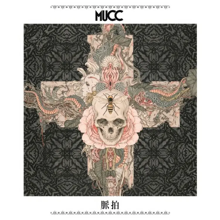 Portada del álbum Myakuhaku
