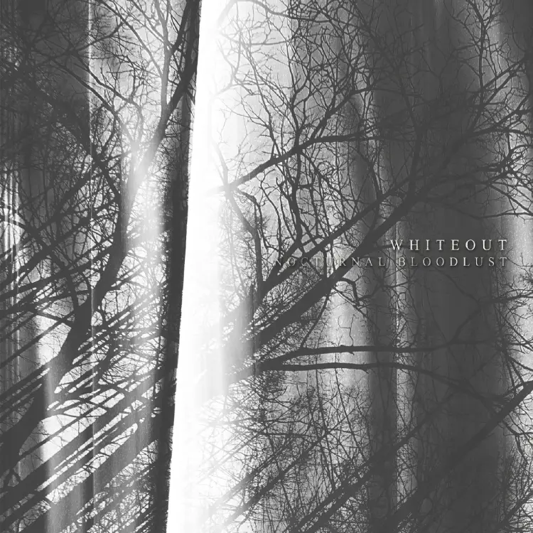 Portada del álbum WHITEOUT