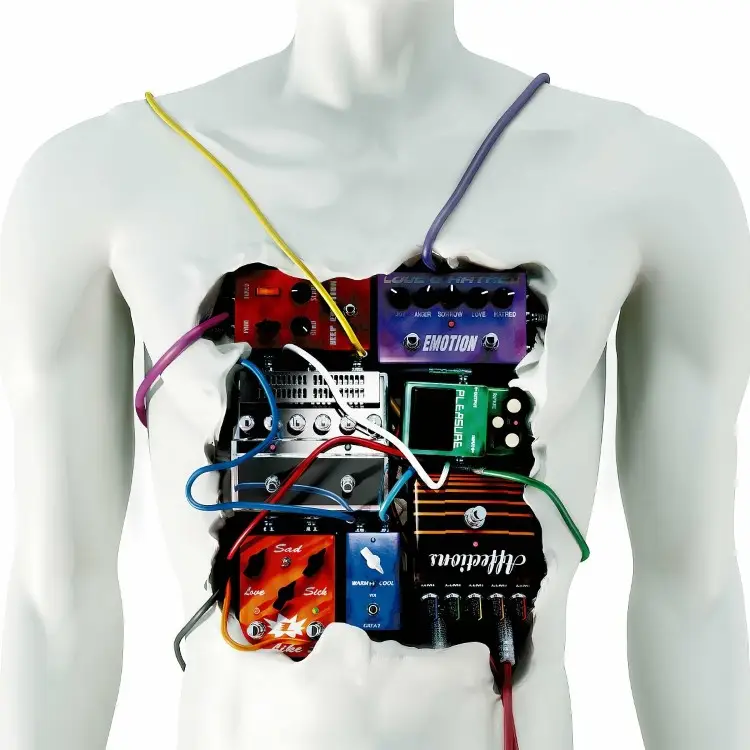 Cover: Kanjou Effect