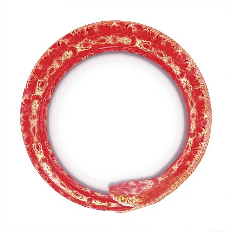 Portada del álbum Kanzen Kankaku Dreamer