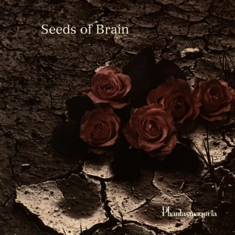 Portada del álbum Seeds of Brain