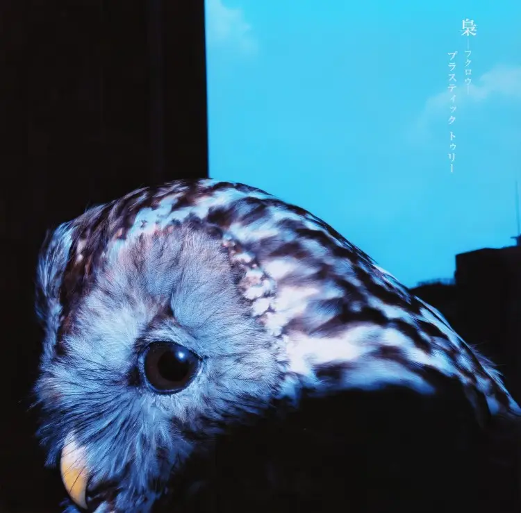 Portada del álbum Fukurou