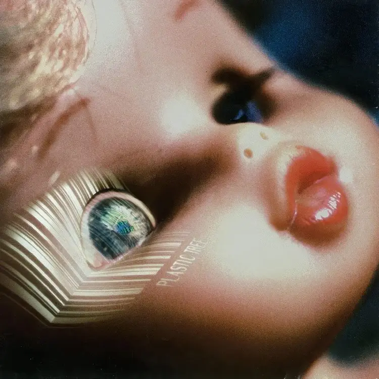 Portada del álbum Hide and Seek