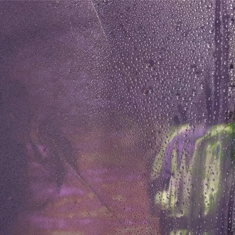 Portada del álbum Kuchizuke