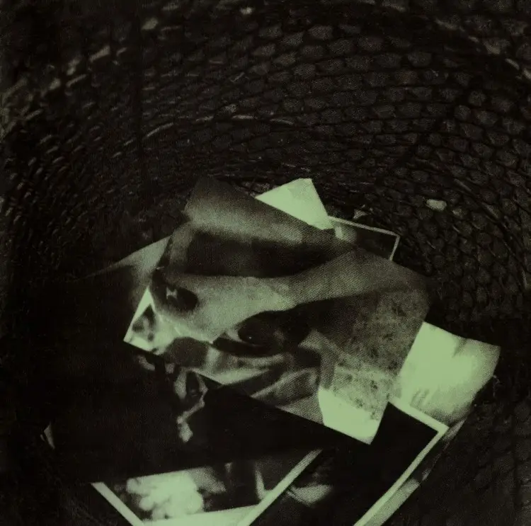 Portada del álbum Nega to Poji