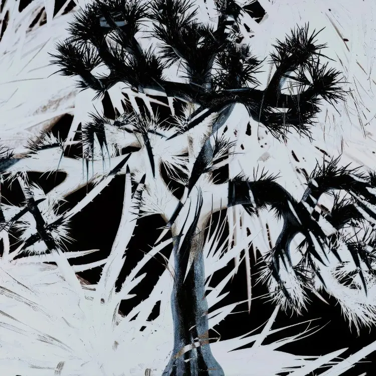 Portada del álbum Plastic Tree