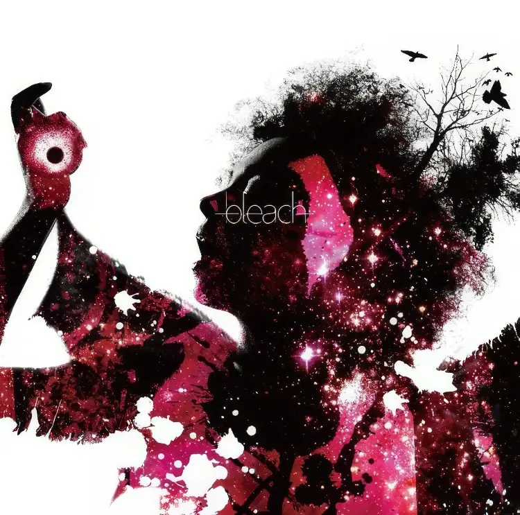 Portada del álbum bleach