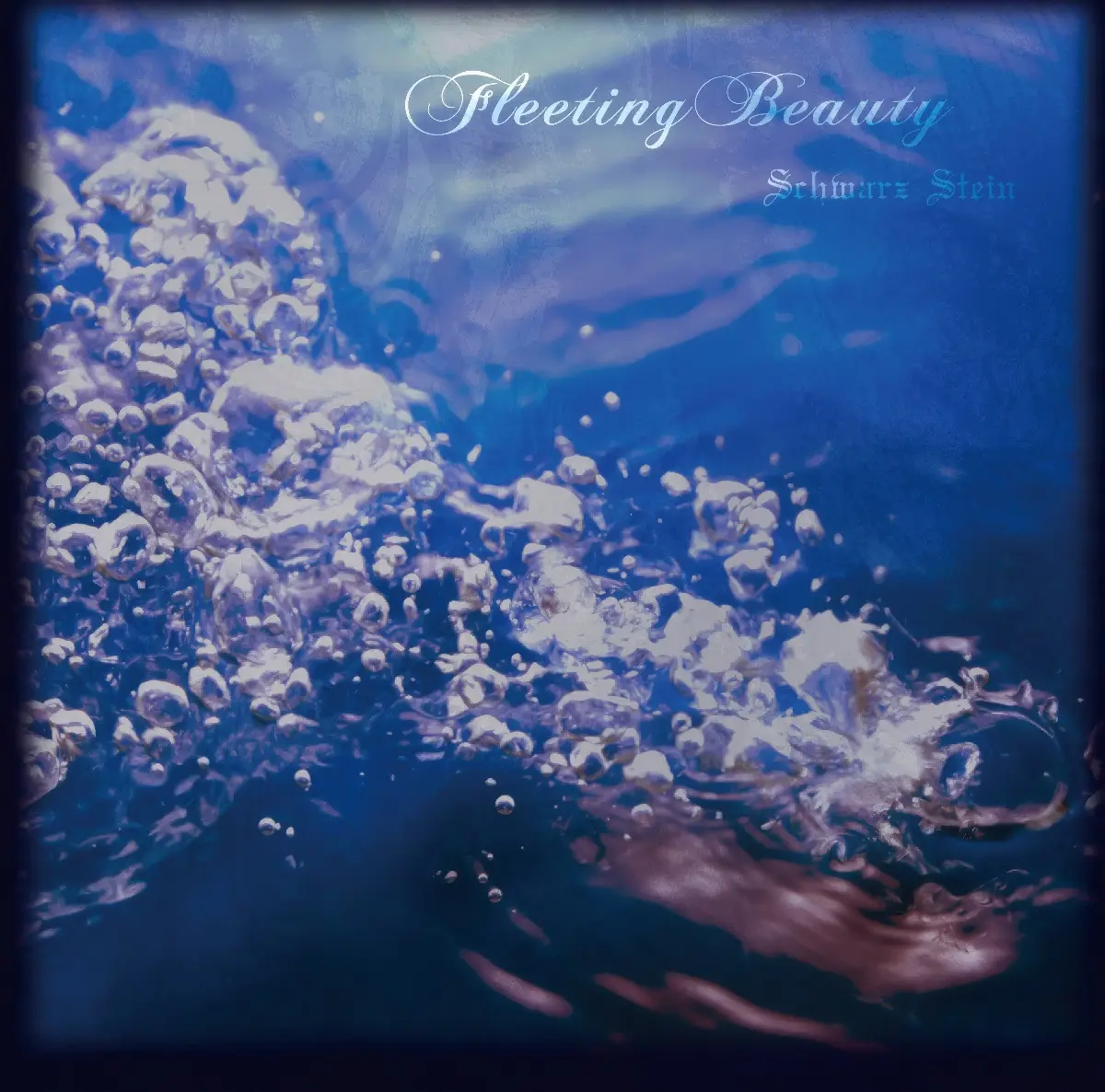 Cover: Fleeting Beauty