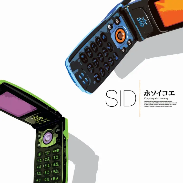 Portada del álbum HOSOI KOE