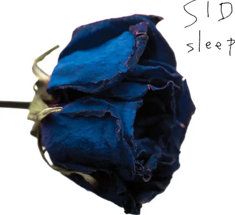 Portada del álbum sleep