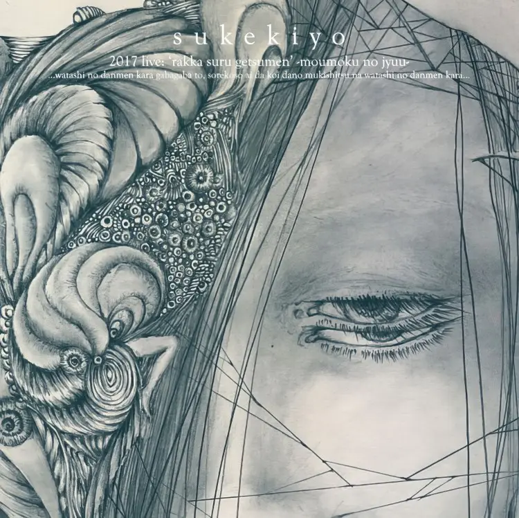 Portada del álbum ADORATIO (nine melted fiction)