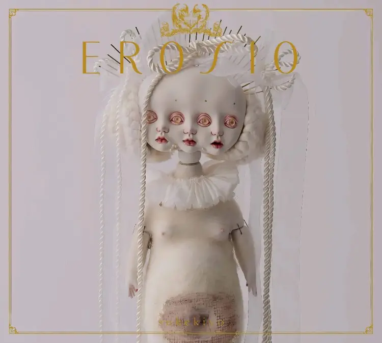 Cover: EROSIO