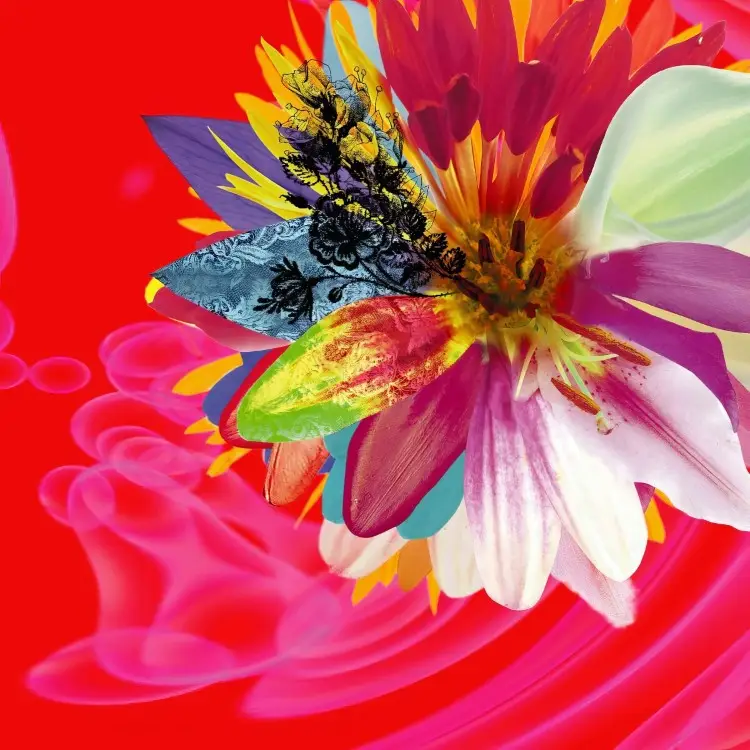 Portada del álbum Cassis